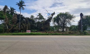 TAGBUROS LOT FOR SALE