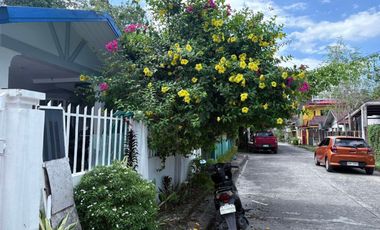 HOUSE AND LOT FOR SALE IN A SUBDIVISION ID 15023