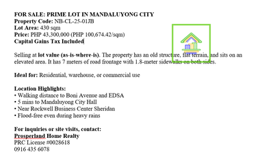 FOR SALE: PRIME LOT IN MANDALUYONG CITY