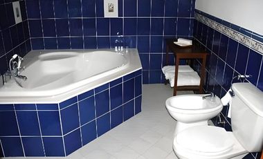 For Sale: Income-Generating Beachfront Resort in Catmon, Cebu, Philippines