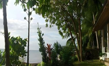 For Sale: Income-Generating Beachfront Resort in Catmon, Cebu, Philippines