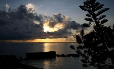 For Sale: Income-Generating Beachfront Resort in Catmon, Cebu, Philippines