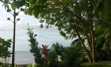 For Sale: Income-Generating Beachfront Resort in Catmon, Cebu, Philippines
