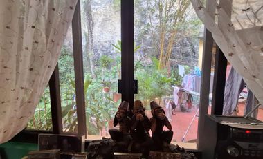 Luxurious 5-Bedroom Home with Game Room in Maria Luisa Estate Park, Cebu