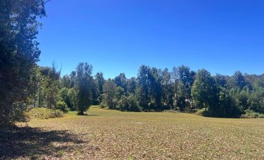 Oportunidad Parcelas Huiscapi Venta En Verde