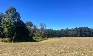 Oportunidad Parcelas Huiscapi Venta En Verde