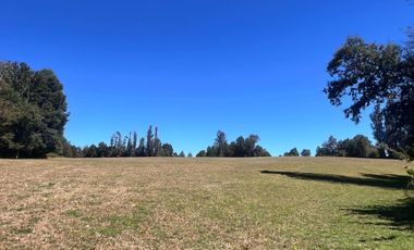 Oportunidad Parcelas Huiscapi Venta En Verde