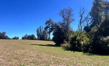 Oportunidad Parcelas Huiscapi Venta En Verde