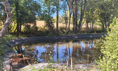 Hermosos Parcelas Con Luz Y Agua Loncoche
