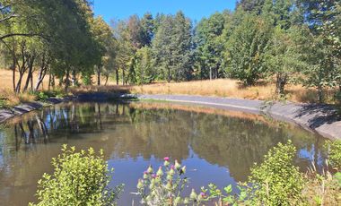 Hermosos Parcelas Con Luz Y Agua Loncoche