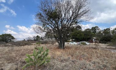 Se Vende Terreno de 800 m² en Esquina Ubicado en el Fraccionamiento La Joya en Haras del Bosque
