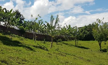 EN VENTA LOTE DE 8014M2 EN COMBIA