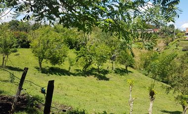 EN VENTA LOTE DE 8014M2 EN COMBIA