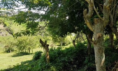 EN VENTA LOTE DE 8014M2 EN COMBIA