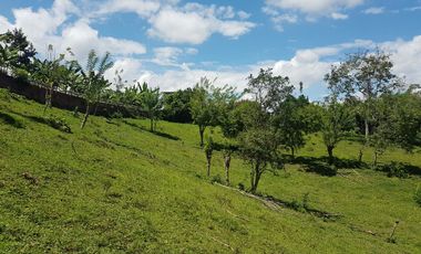 EN VENTA LOTE DE 8014M2 EN COMBIA