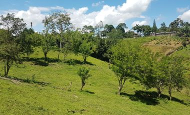 EN VENTA LOTE DE 8014M2 EN COMBIA