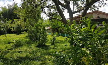 EN VENTA LOTE DE 8014M2 EN COMBIA