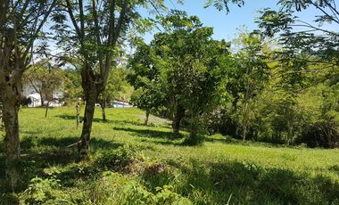 EN VENTA LOTE DE 8014M2 EN COMBIA