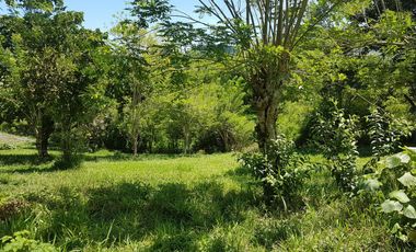 EN VENTA LOTE DE 8014M2 EN COMBIA