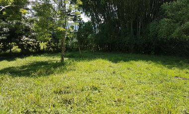 EN VENTA LOTE DE 8014M2 EN COMBIA