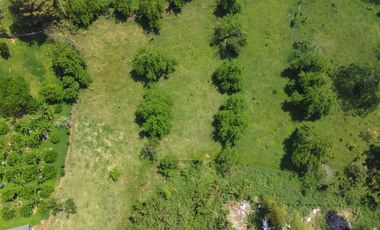 EN VENTA LOTE DE 8014M2 EN COMBIA