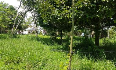 EN VENTA LOTE DE 8014M2 EN COMBIA