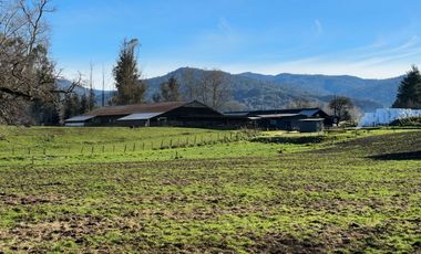 Campo de 476 hectáreas productivas en Purranque, Región de Los Lagos