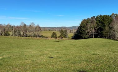 Campo de 476 hectáreas productivas en Purranque, Región de Los Lagos