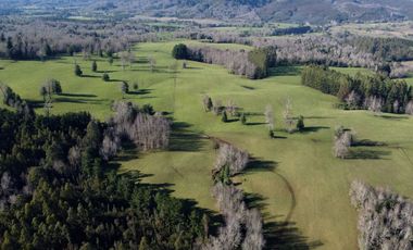 Campo de 476 hectáreas productivas en Purranque, Región de Los Lagos