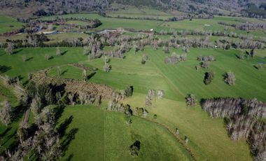 Campo de 476 hectáreas productivas en Purranque, Región de Los Lagos