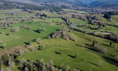 Campo de 476 hectáreas productivas en Purranque, Región de Los Lagos