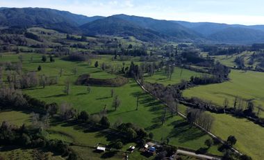 Campo de 476 hectáreas productivas en Purranque, Región de Los Lagos