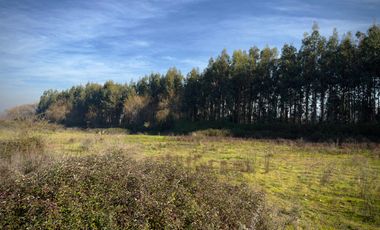 Se venden dos parcelas en Teno, condominio Santa Rebeca, ciudad de Curicó