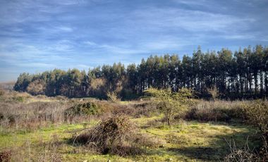 Se venden dos parcelas en Teno, condominio Santa Rebeca, ciudad de Curicó