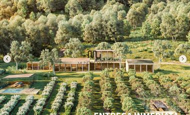 Terreno en venta en Cardo Santo Avandaro Valle de bravo