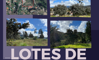 Lotes de venta en Challuabamba sector apangoras espectacular vista clima templado Exc. Barrio