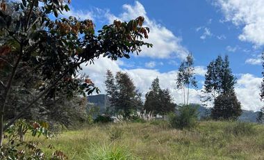 Lotes de venta en Challuabamba sector apangoras espectacular vista clima templado Exc. Barrio