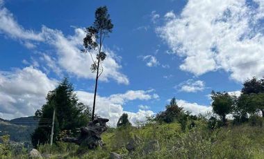 Lotes de venta en Challuabamba sector apangoras espectacular vista clima templado Exc. Barrio