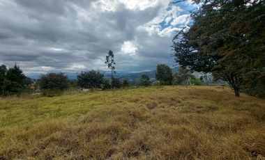 Lotes de venta en Challuabamba sector apangoras espectacular vista clima templado Exc. Barrio