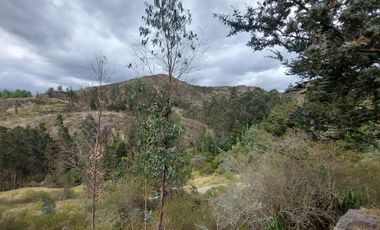 Lotes de venta en Challuabamba sector apangoras espectacular vista clima templado Exc. Barrio