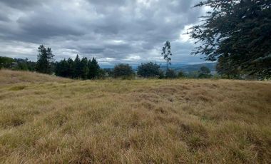 Lotes de venta en Challuabamba sector apangoras espectacular vista clima templado Exc. Barrio