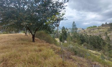 Lotes de venta en Challuabamba sector apangoras espectacular vista clima templado Exc. Barrio