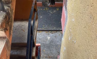 Zihuatanejo Venta De Departamento En Infonavit La Parota 2 Recámaras