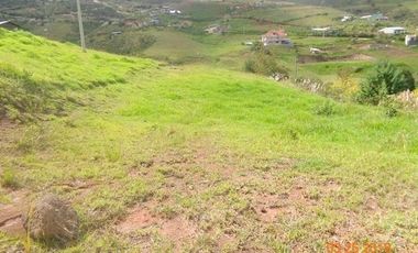 Oportunidad de inversión terreno en venta 4.250m2 sector Tarqui - Cuenca $44.900dlrs.