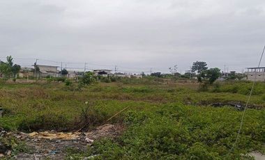 SE VENDE TERRENO SECTOR SUR DE MACHALA