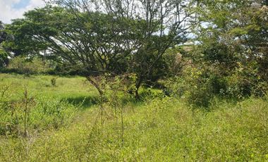 EN VENTA LOTE EN CERRITOS PARA BODEGA O CASA CAMPESTRE