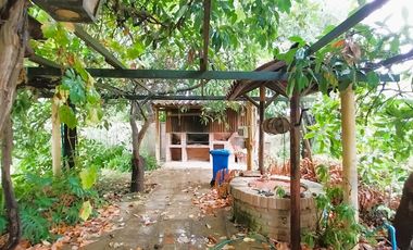 Full Tranquilidad A Pasos Del Centro Hacer La Vida Caminando