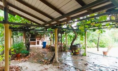 Full Tranquilidad A Pasos Del Centro Hacer La Vida Caminando