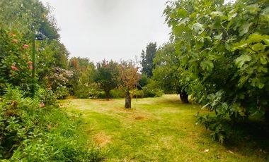 Full Tranquilidad A Pasos Del Centro Hacer La Vida Caminando