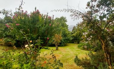 Full Tranquilidad A Pasos Del Centro Hacer La Vida Caminando